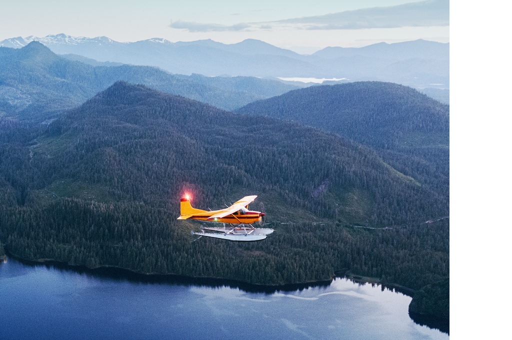 twilight-flight-picture-id170955133